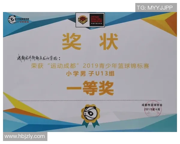 成都排球队全国锦标赛辉煌之路的突破与成长历程探秘